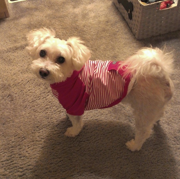 Meet your Posher, Debbie - Picture 3 of 5